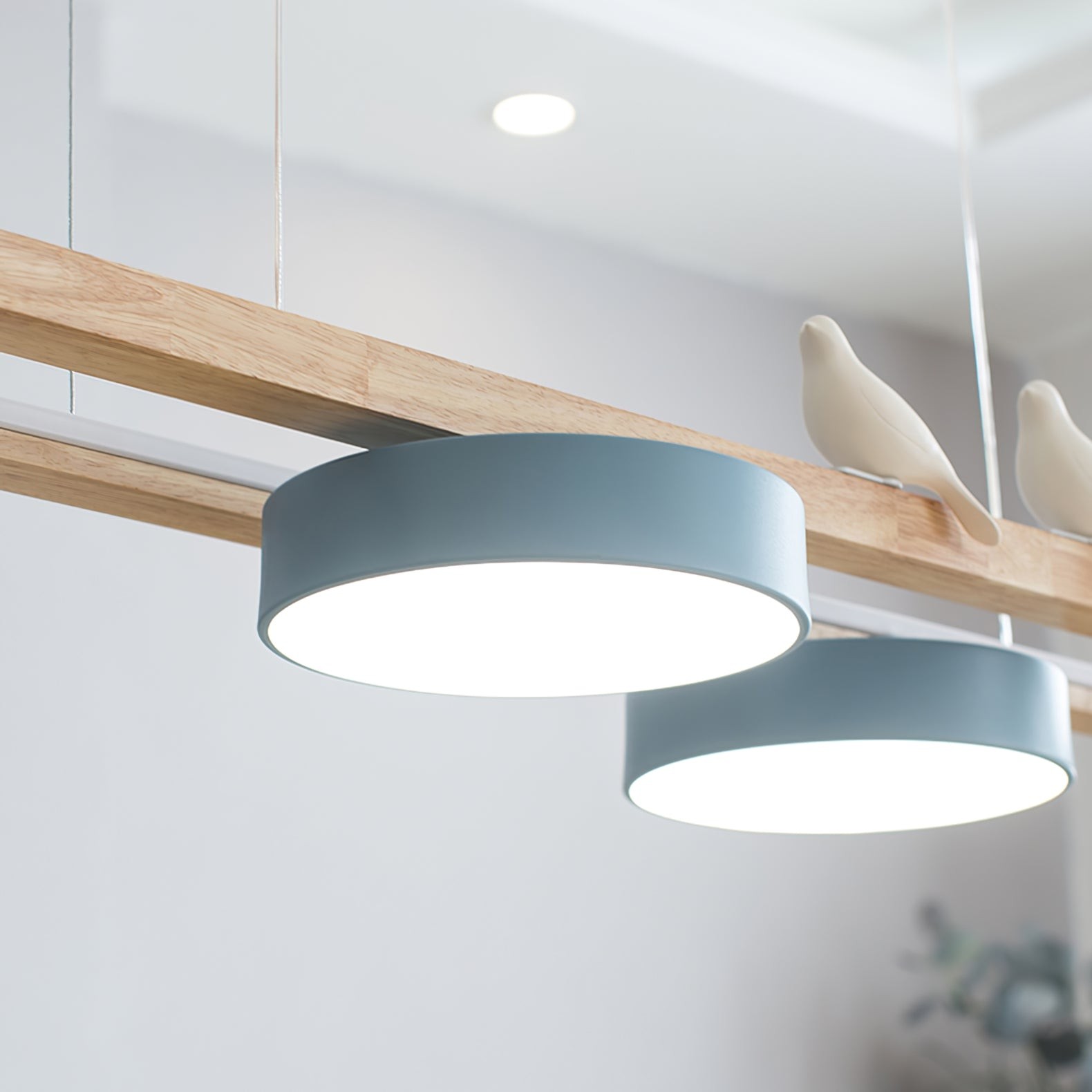 New Style Fashion Bird Long Chandelier M113