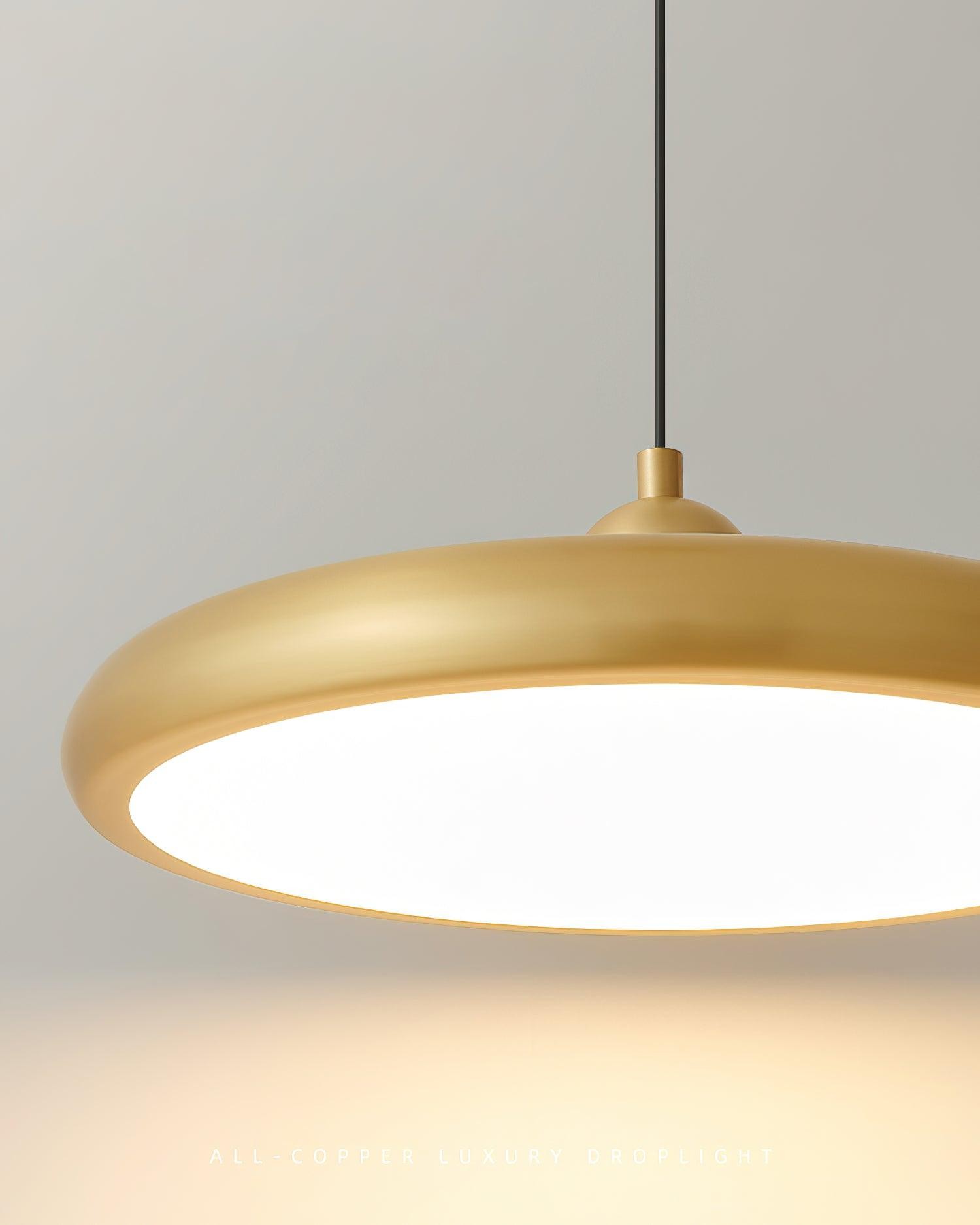 Thin Disc Pendant Lamp M509