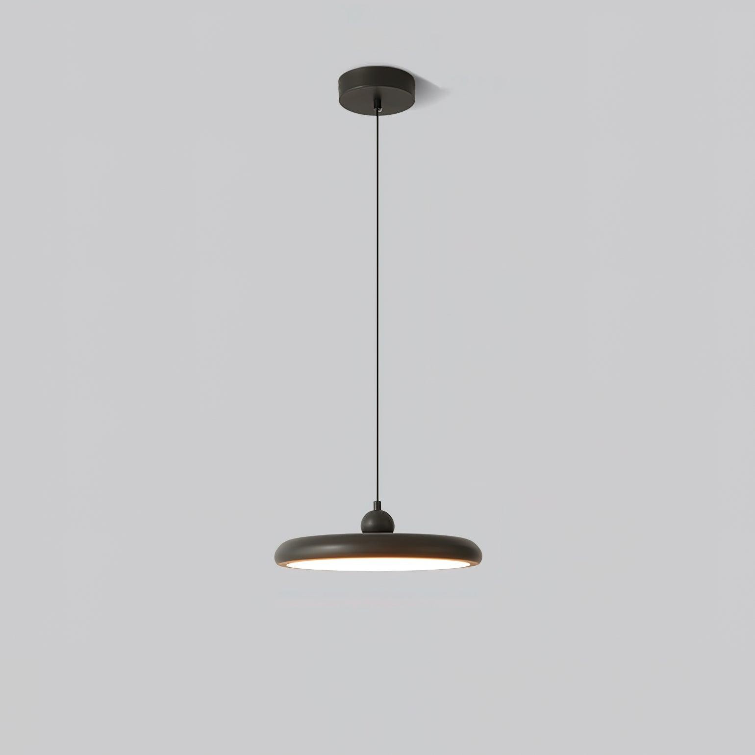 Thin Disc Pendant Lamp M509