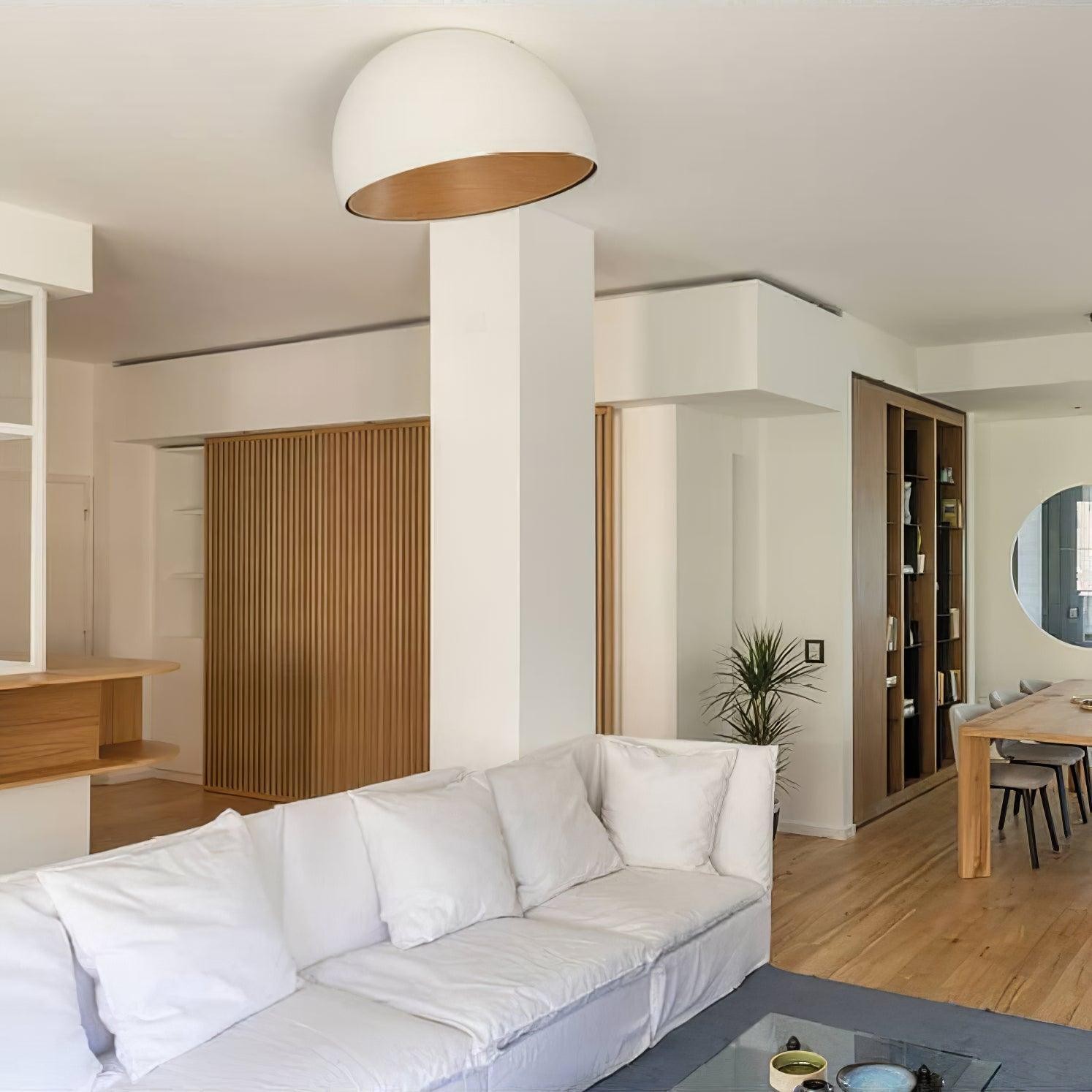 Simple Modern Nordic LED Eggshell Ceiling Lamp M385