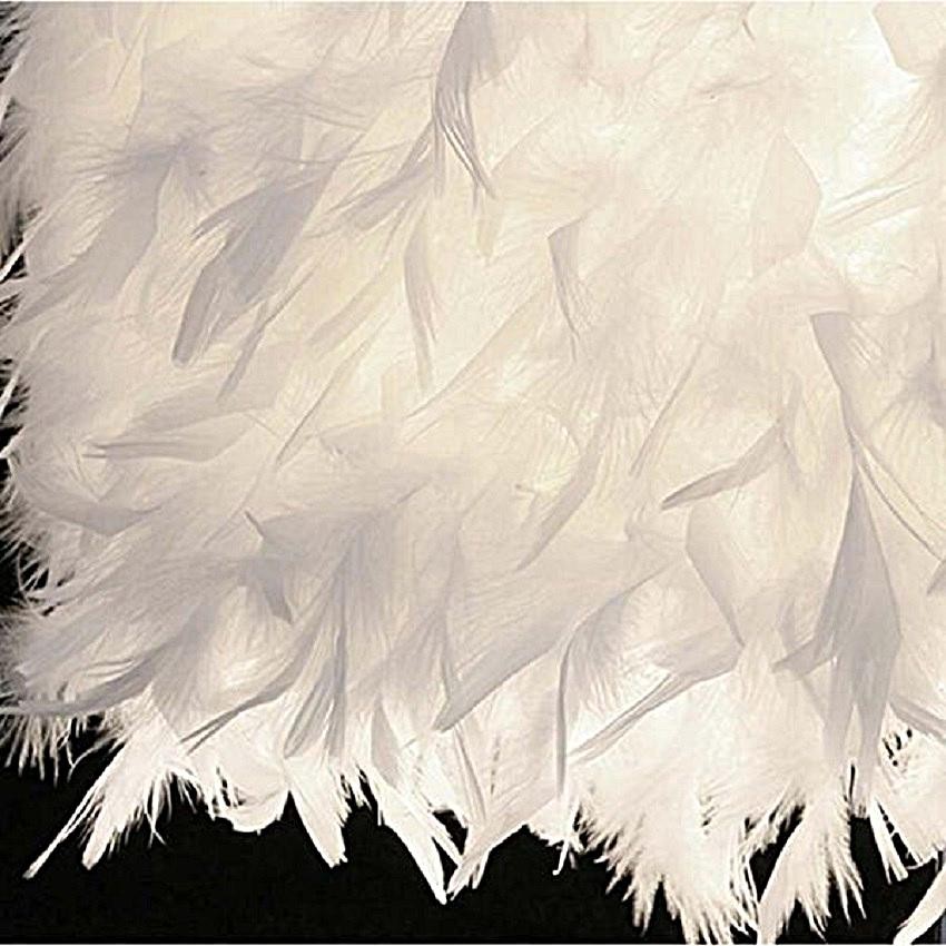 Primer plano de la textura de la pantalla de la lámpara de mesa Feather Crystal