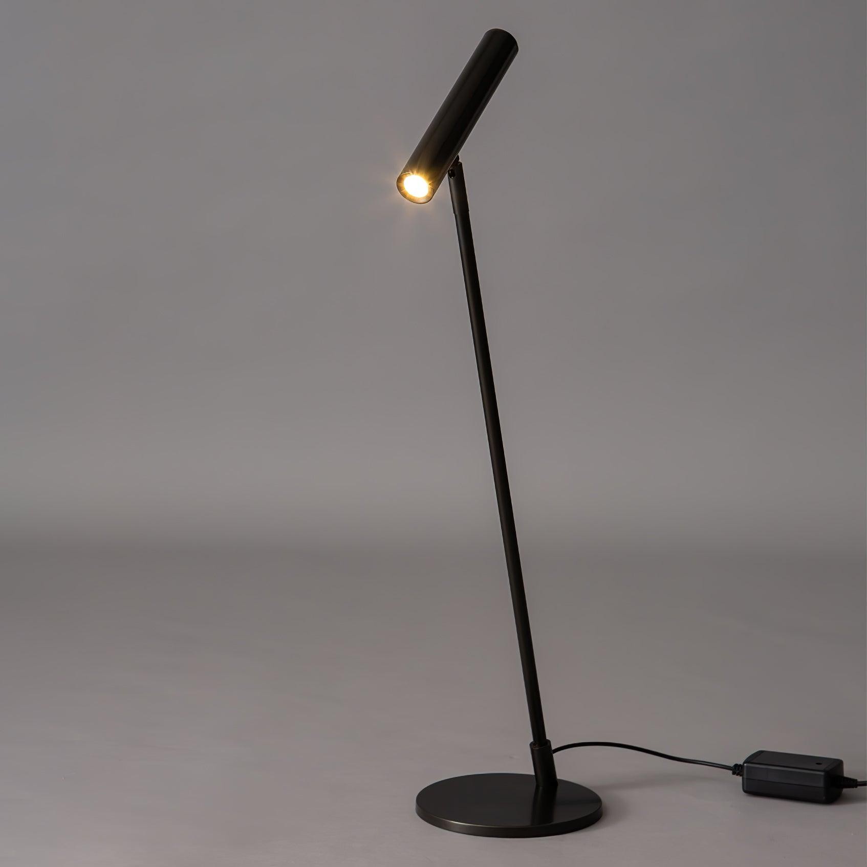 Modern Minimalist Brass Adjustable LED Floor Lamp M507