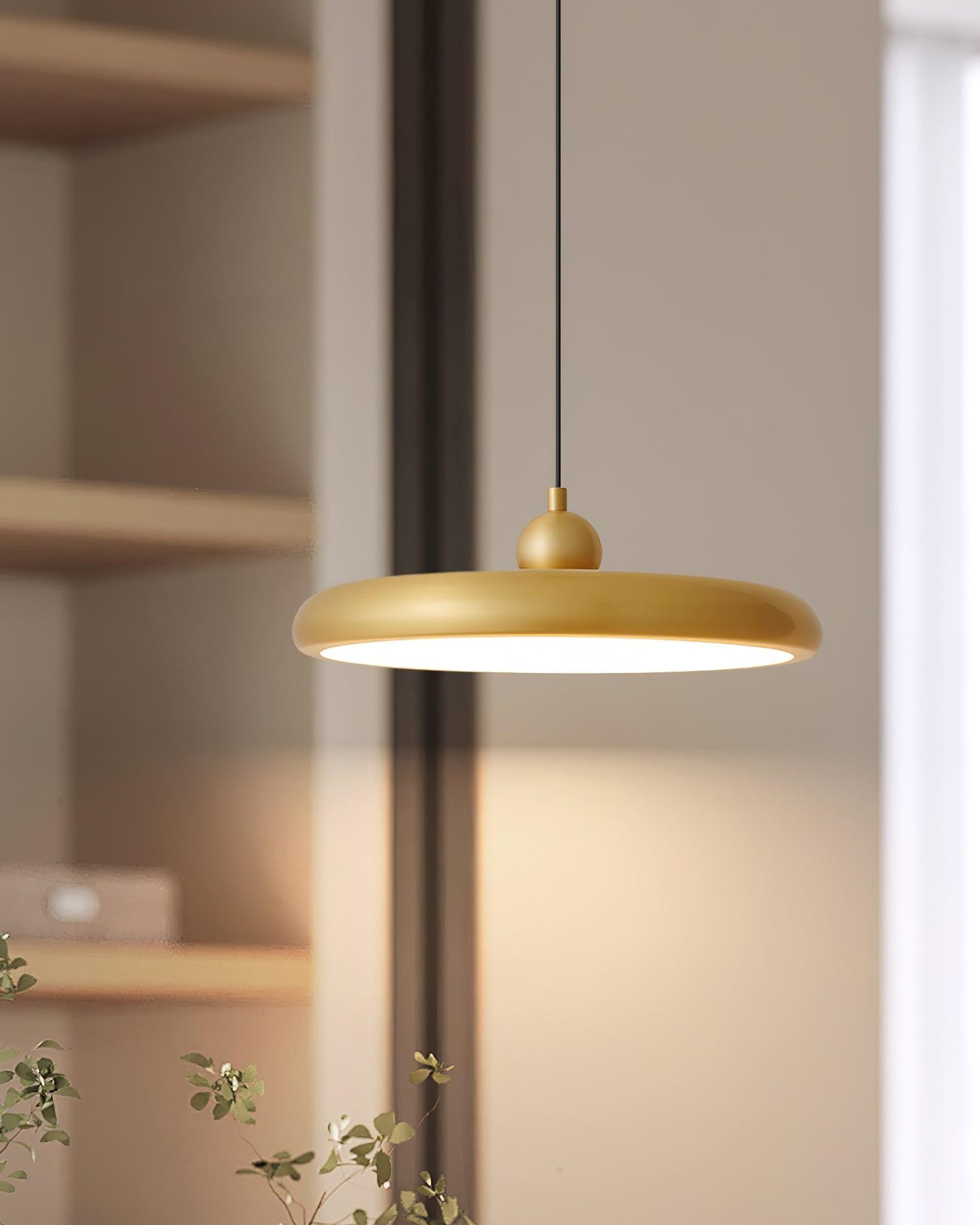 Thin Disc Pendant Lamp M509