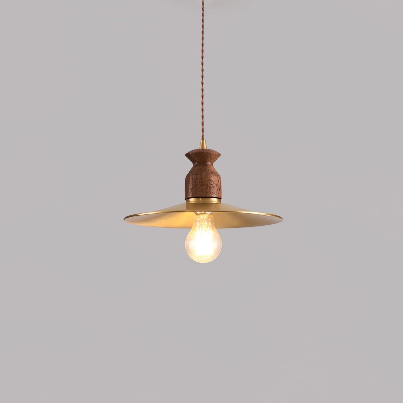 Round Brass Metal Badge Gold Pendant Lamp M84