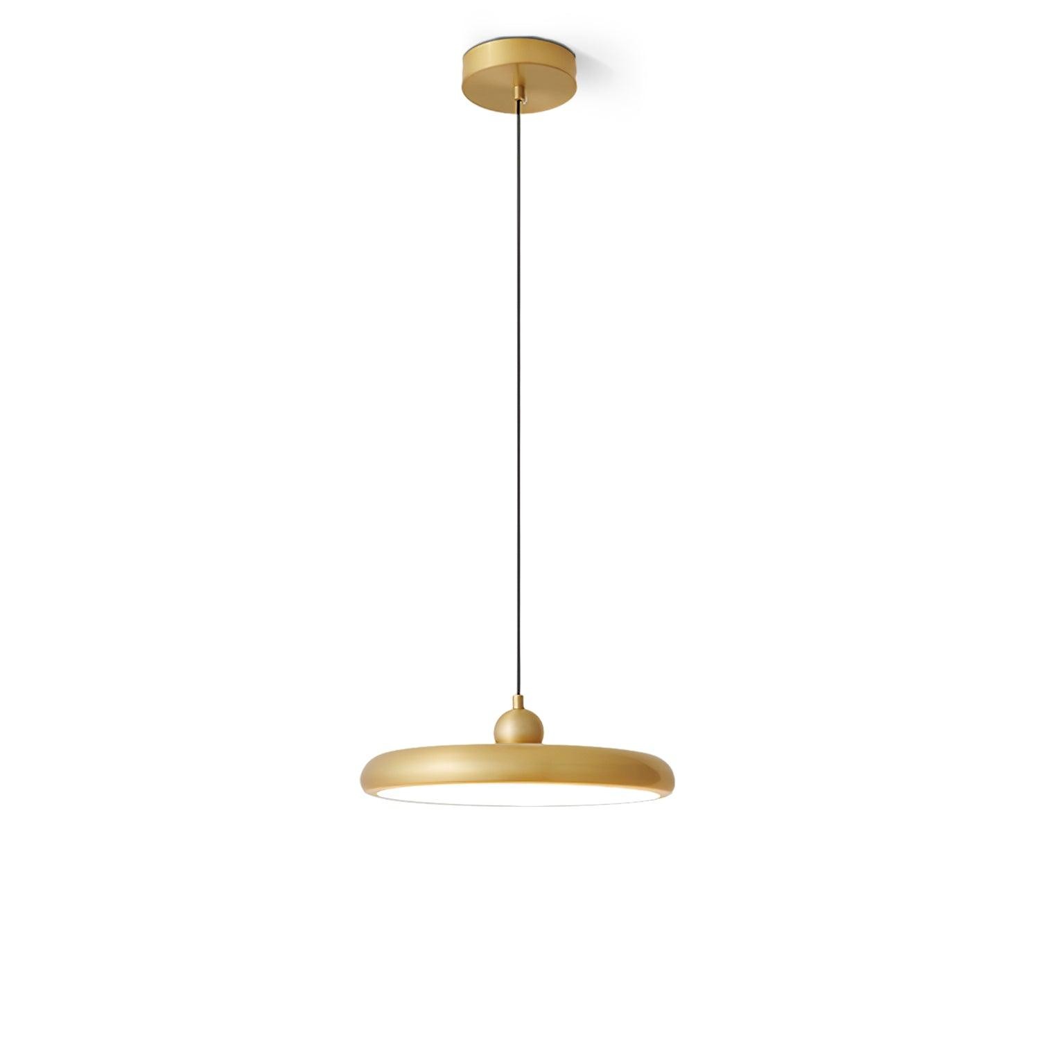 Thin Disc Pendant Lamp M509