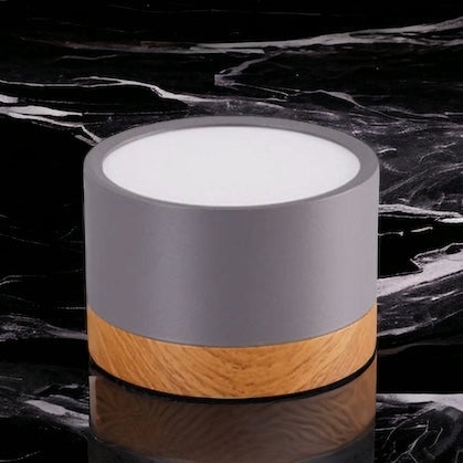 Don Nordic Modern Ceiling Light D881
