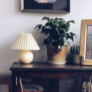 Krämig bordslampa på ett sidobord med växter