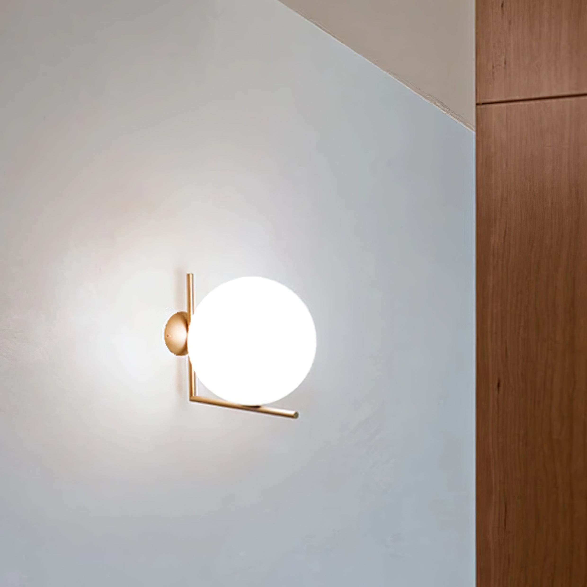 Stylish Glass Globe Wall Light/Ceiling Light S62
