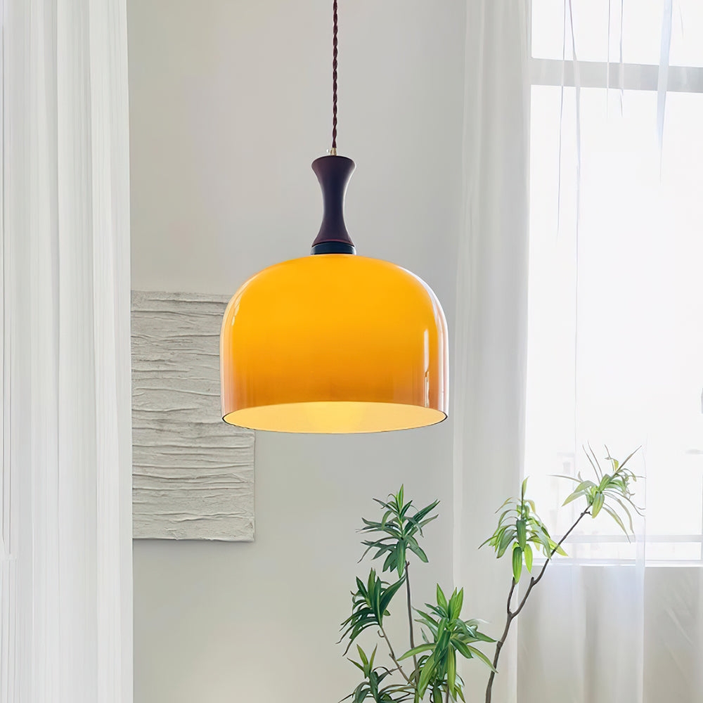 Lacey Glass Plug In Pendant Lamp D114