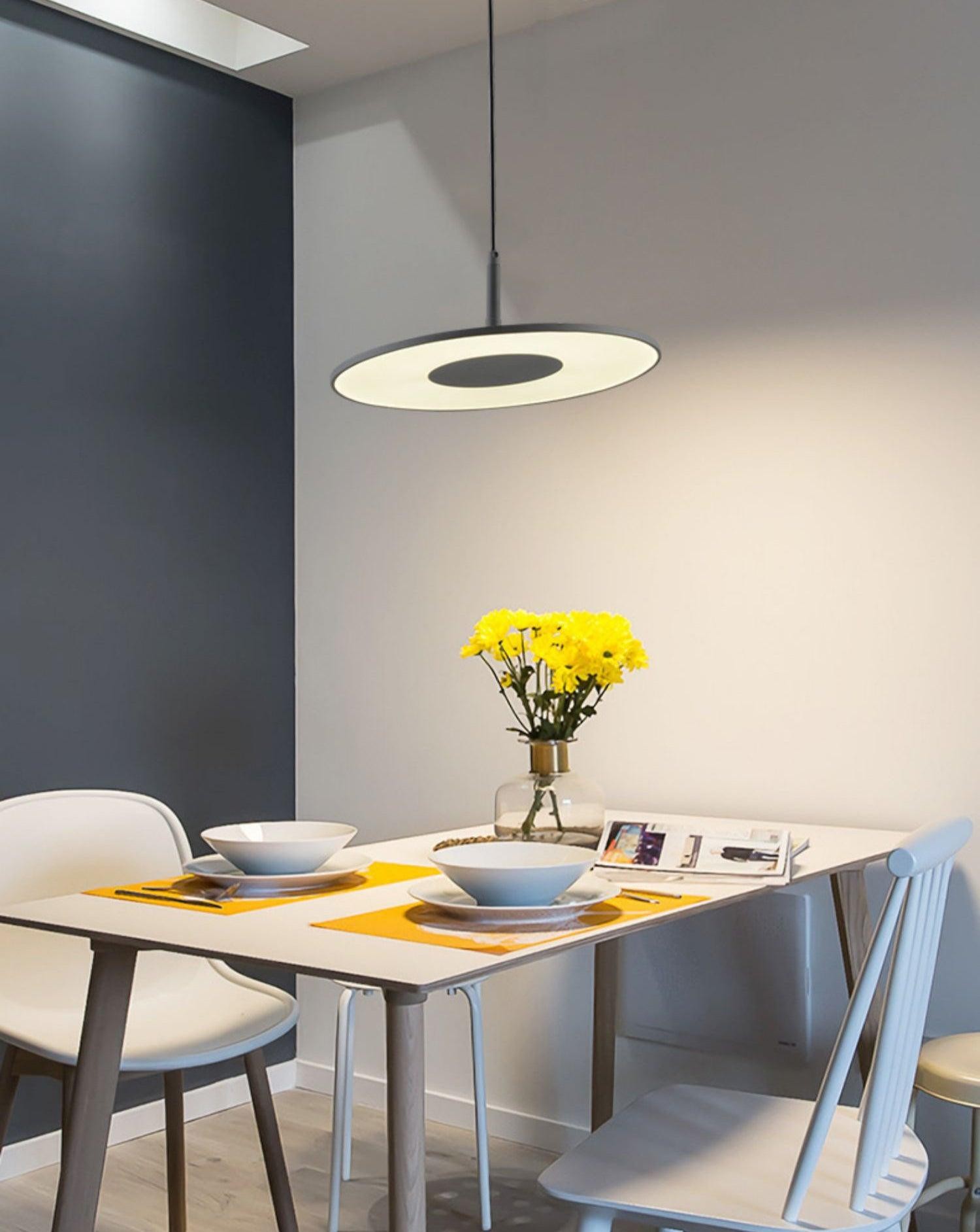 Round Disc Pendant Lamp M482