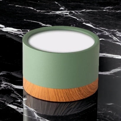 Don Nordic Modern Ceiling Light D881