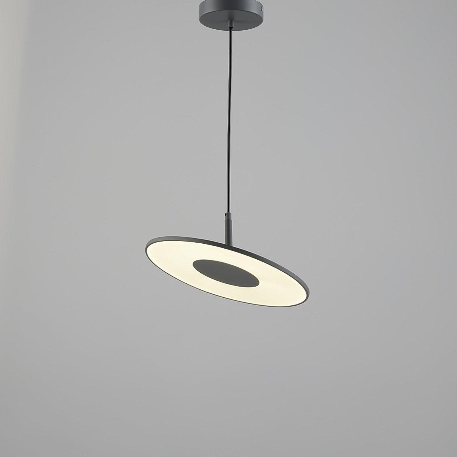 Round Disc Pendant Lamp M482