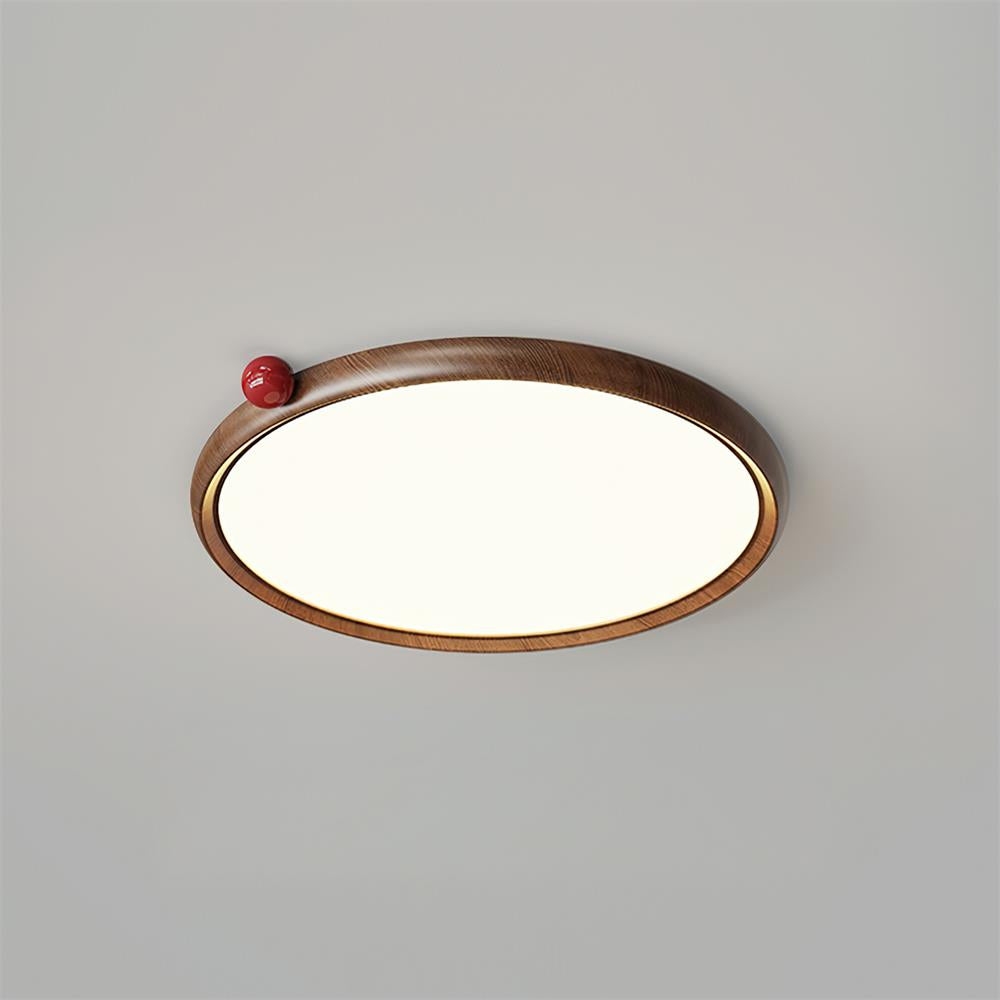 Geos LED Ceiling Light D09