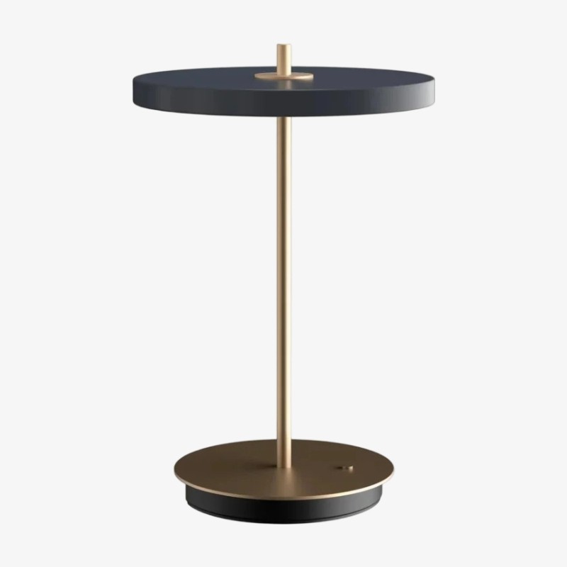 Astris Modern Minimalist Metal Table Lamp Soft LED Illumination for Living Room and Office T581
