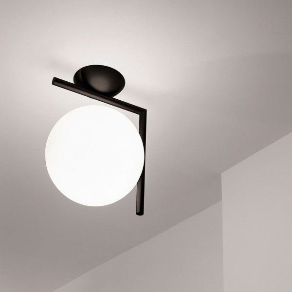 Stylish Glass Globe Wall Light/Ceiling Light S62