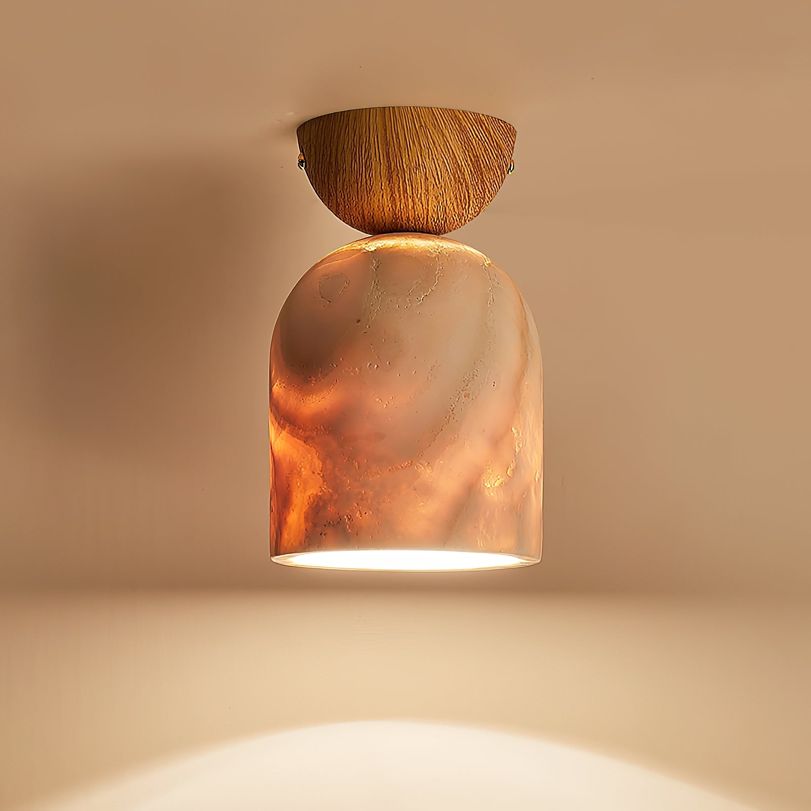 Terrene Cone Ceiling Lamp D686