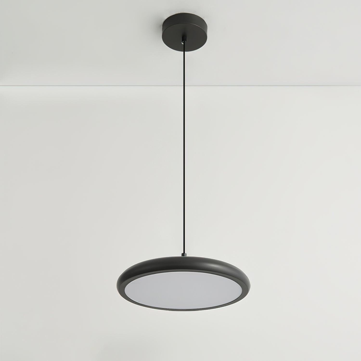Thin Disc Pendant Lamp M509