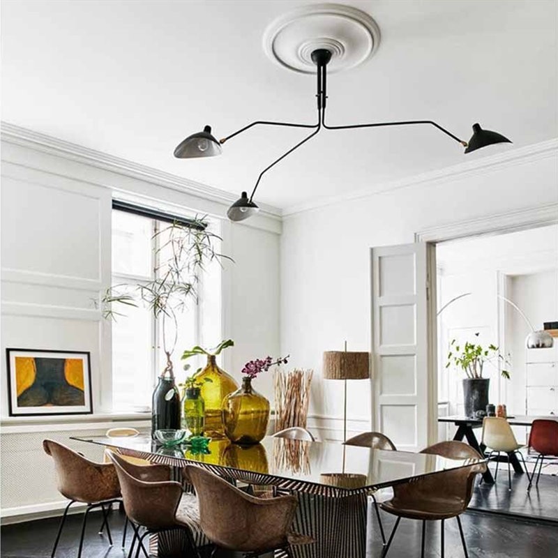 Industrial Adjustable Multi Arm Ceiling Light S17