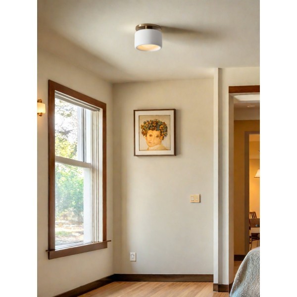 Cerova Elegant Round Porcelain Flush Mount Ceiling Light T165