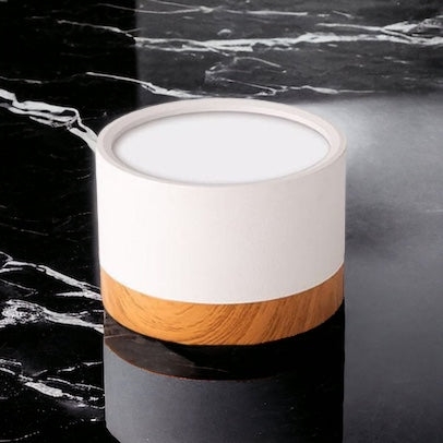 Don Nordic Modern Ceiling Light D881