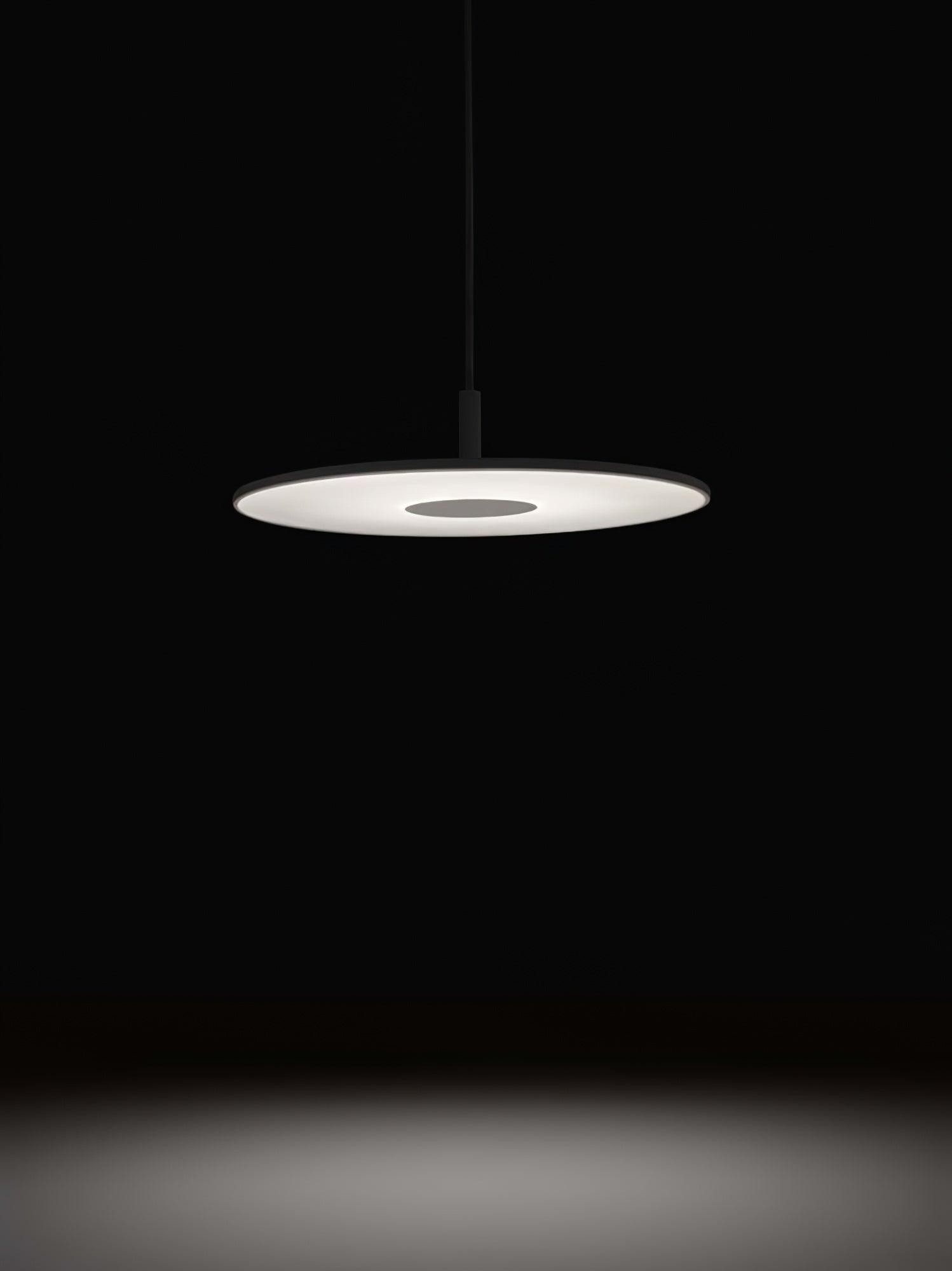 Round Disc Pendant Lamp M482