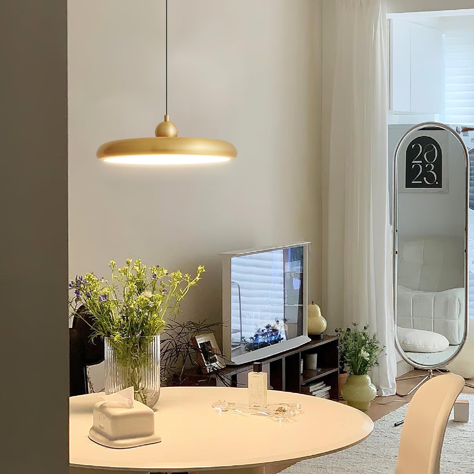 Thin Disc Pendant Lamp M509