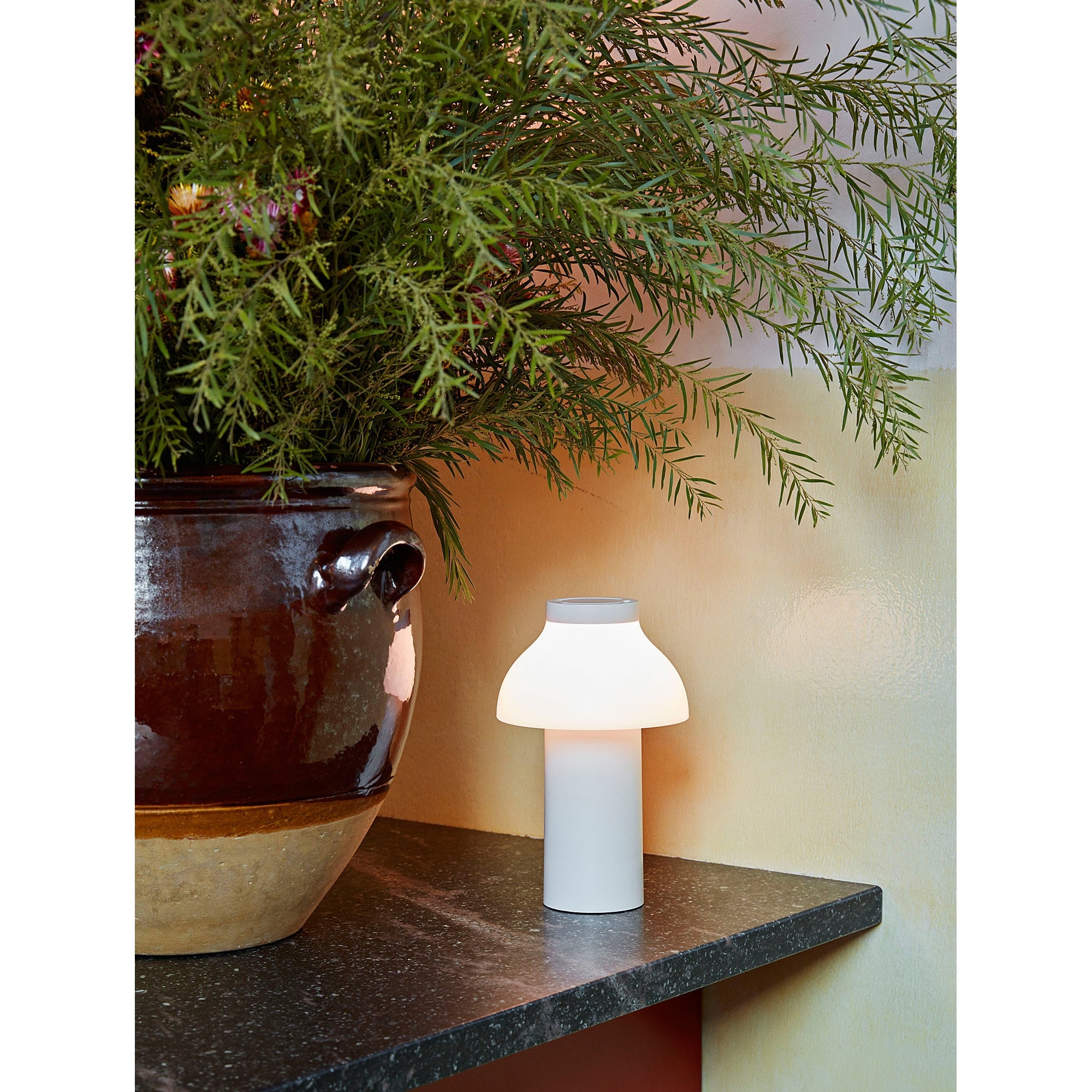PC Portable Table Lamp D646