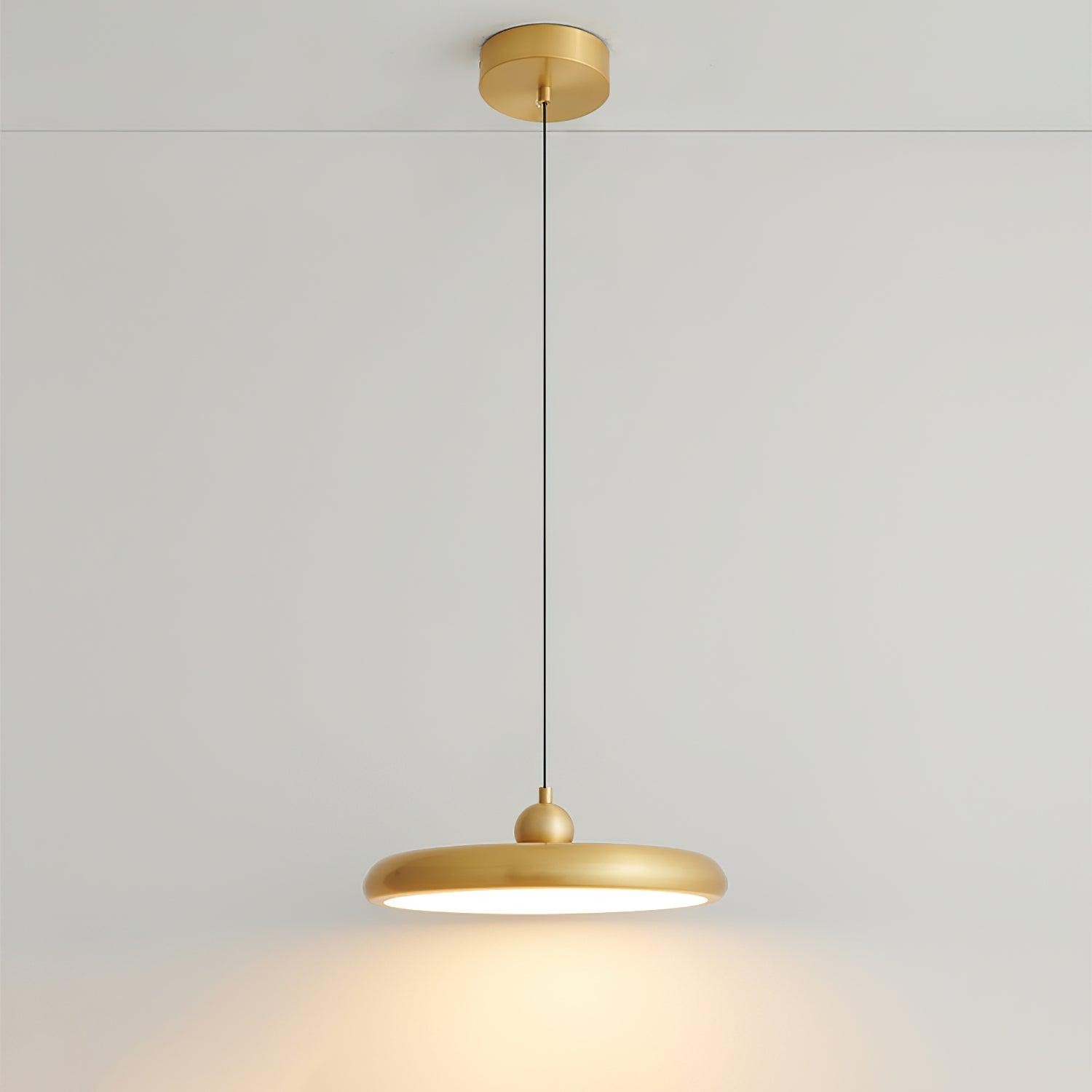 Thin Disc Pendant Lamp M509