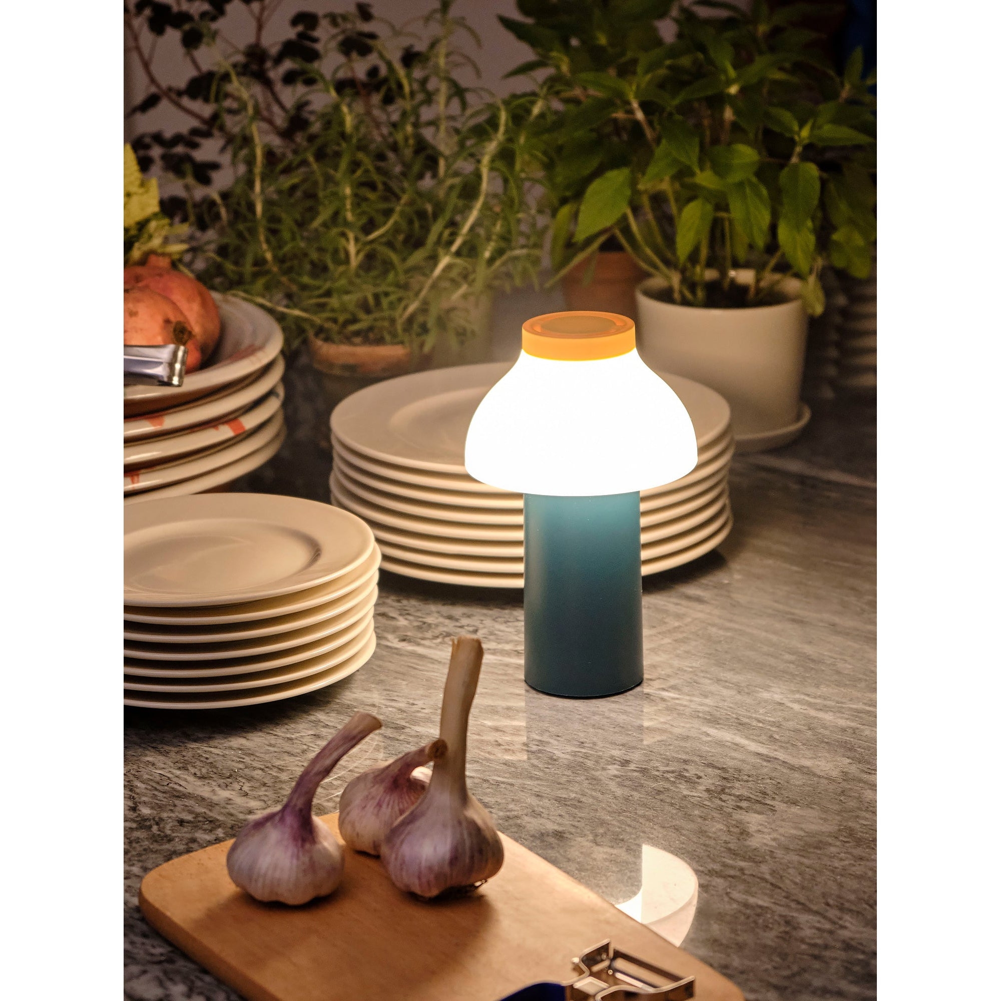 PC Portable Table Lamp D646
