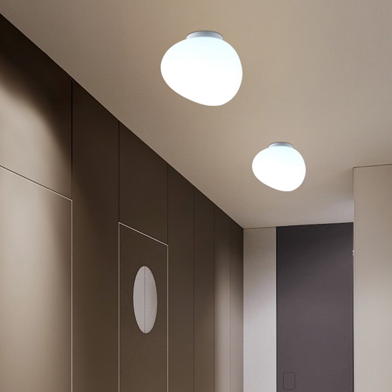 Opal Goose Wall Lamp/ Ceiling Lamp S119