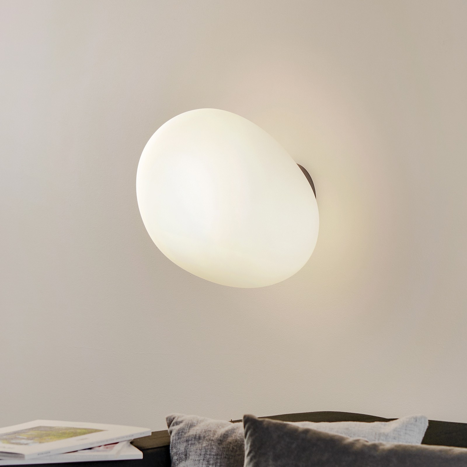 Opal Goose Wall Lamp/ Ceiling Lamp S119