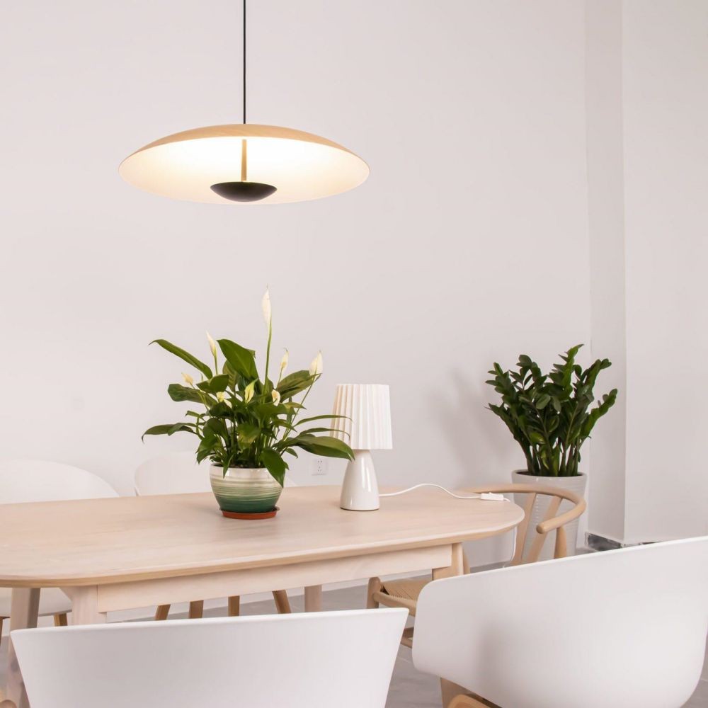 Indoor Ginger LED Suspension Lamp Above The Dining Table