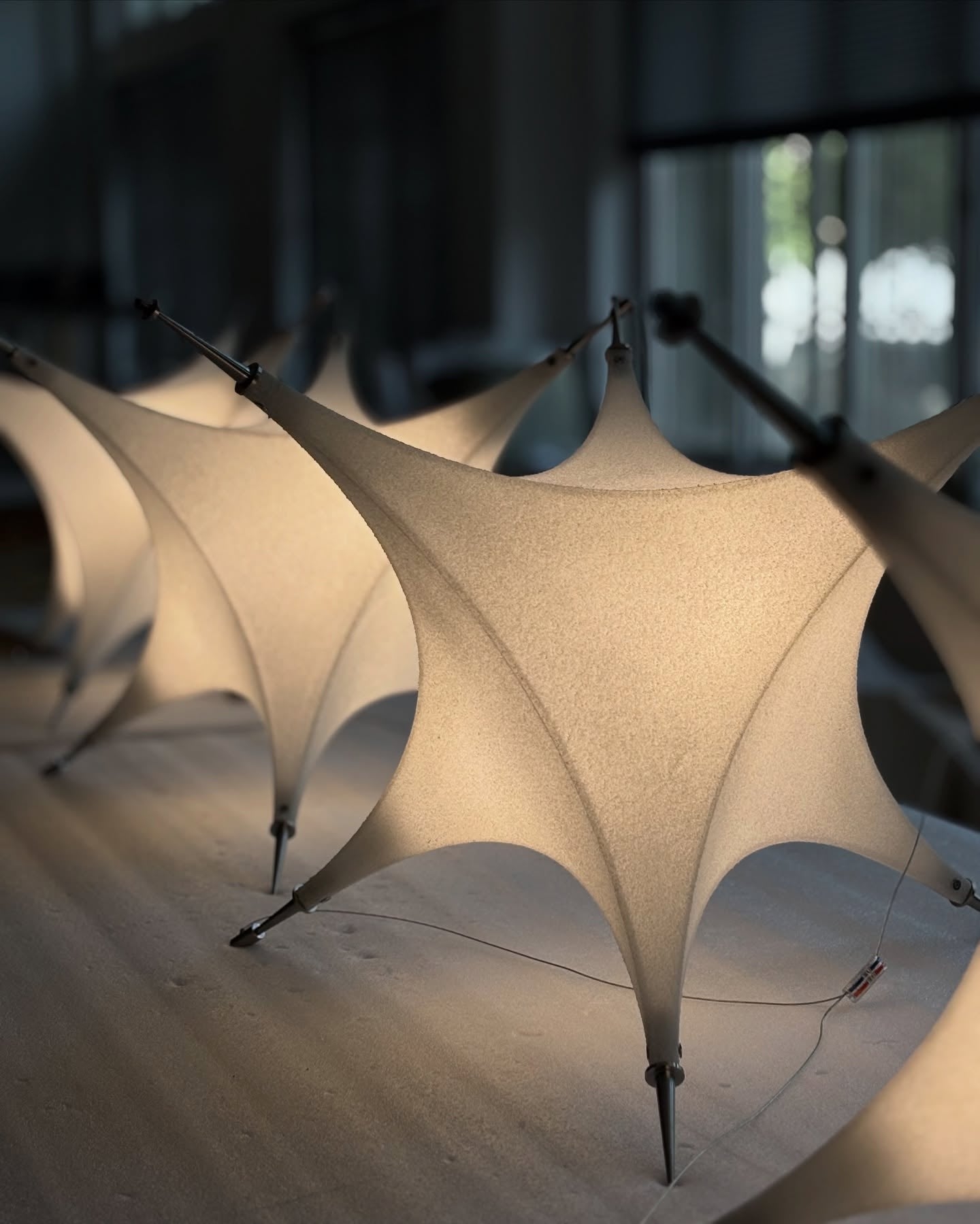Polar Chandelier D703