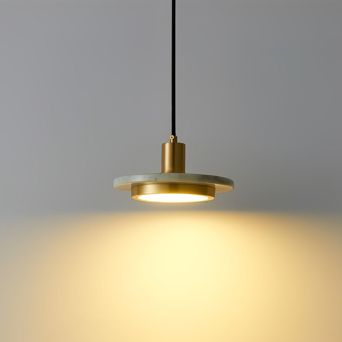Double Circle Pendant Light M74