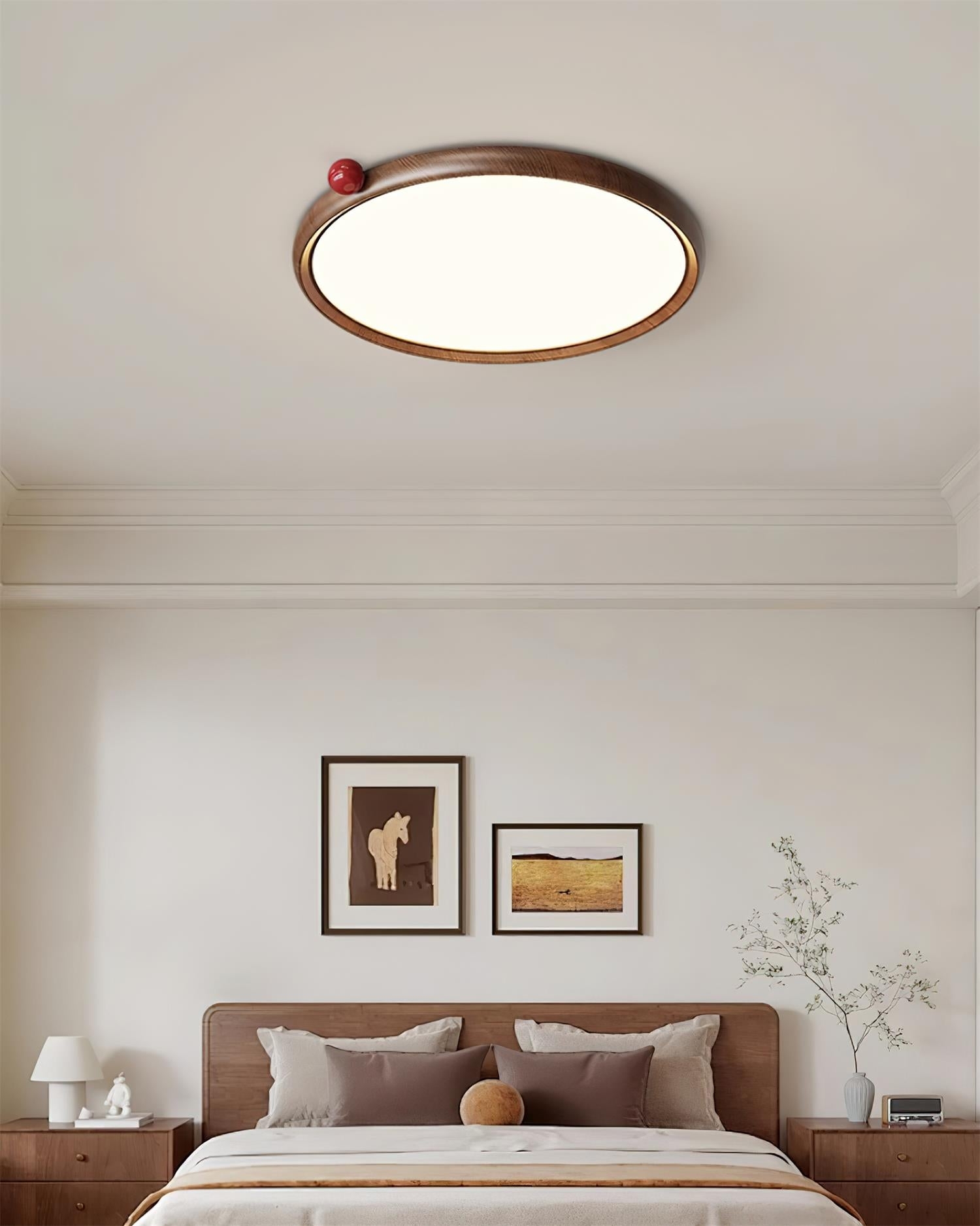 Geos LED Ceiling Light D09