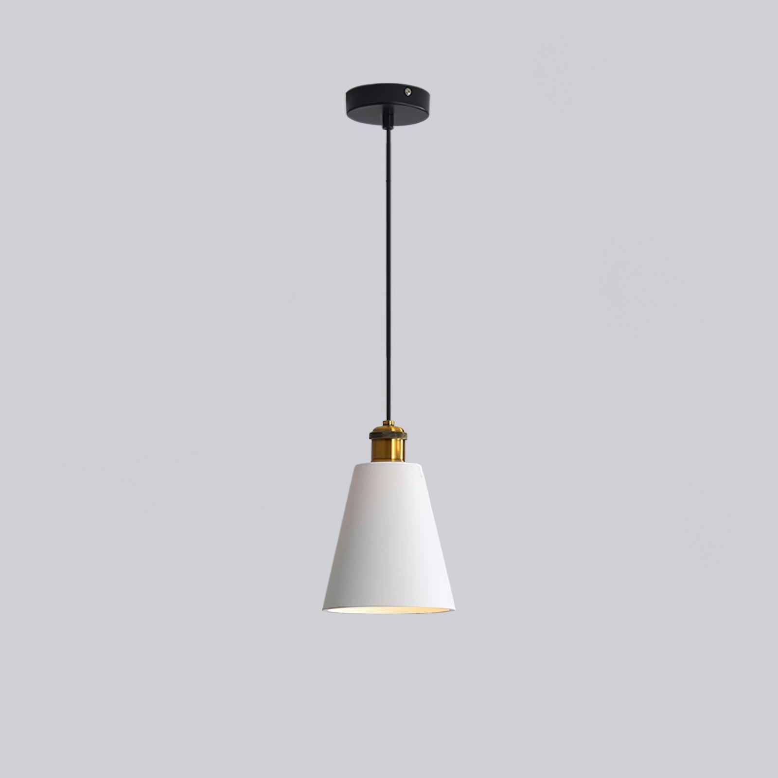 Modern Resin Geometric Pendant Lamp M432