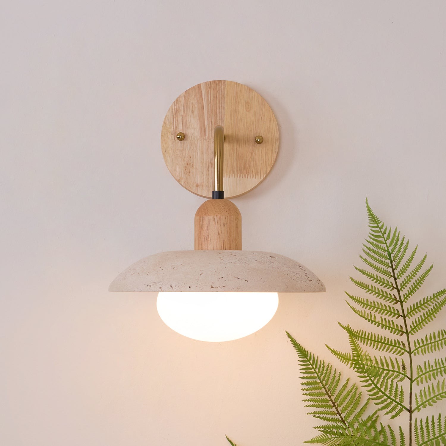 Modern Fashion Simplicity Wall Lamp M173
