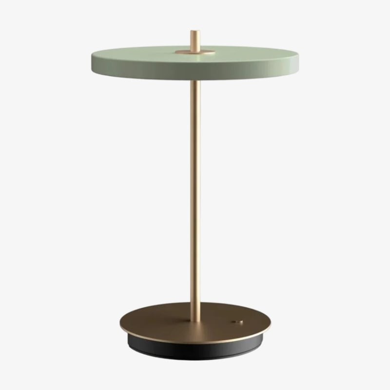 Astris Modern Minimalist Metal Table Lamp Soft LED Illumination for Living Room and Office T581