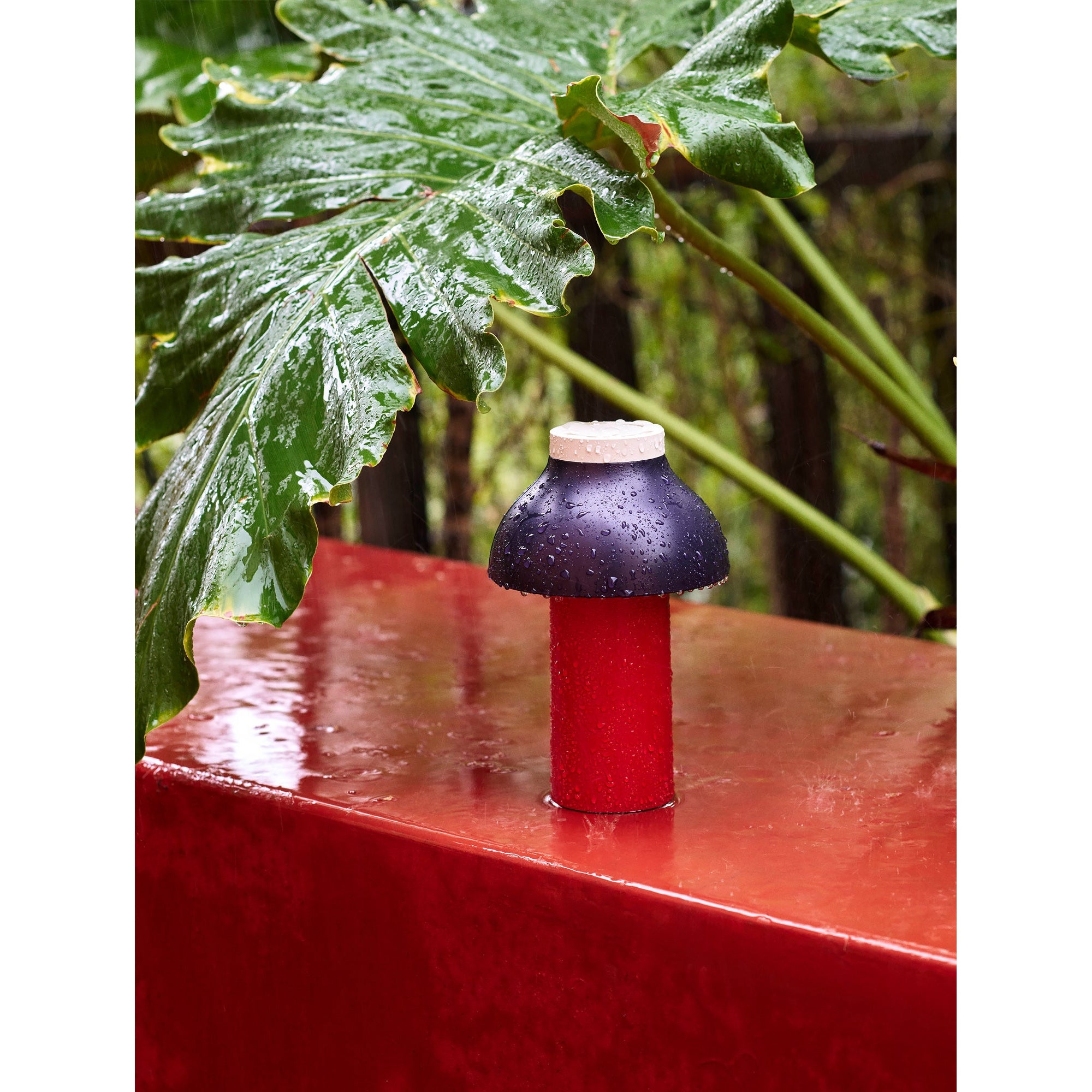 PC Portable Table Lamp D646