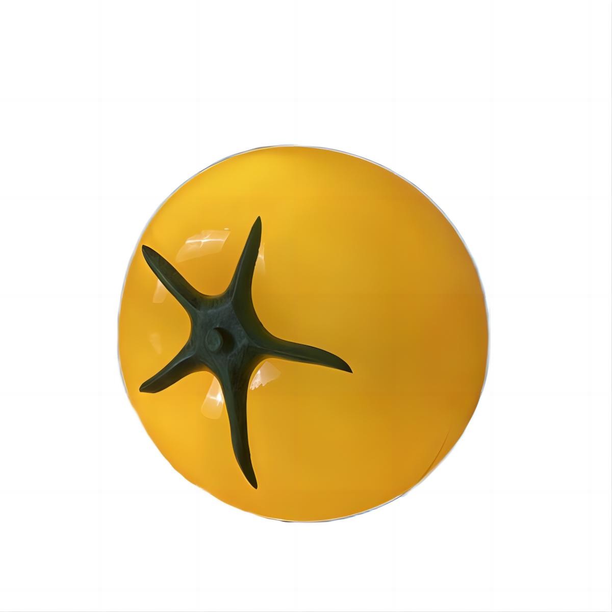 Decorative LED Tomato Table Lamp S54