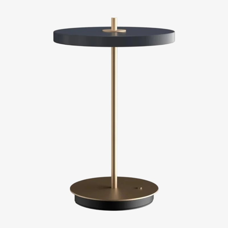 Astris Modern Minimalist Metal Table Lamp Soft LED Illumination for Living Room and Office T581