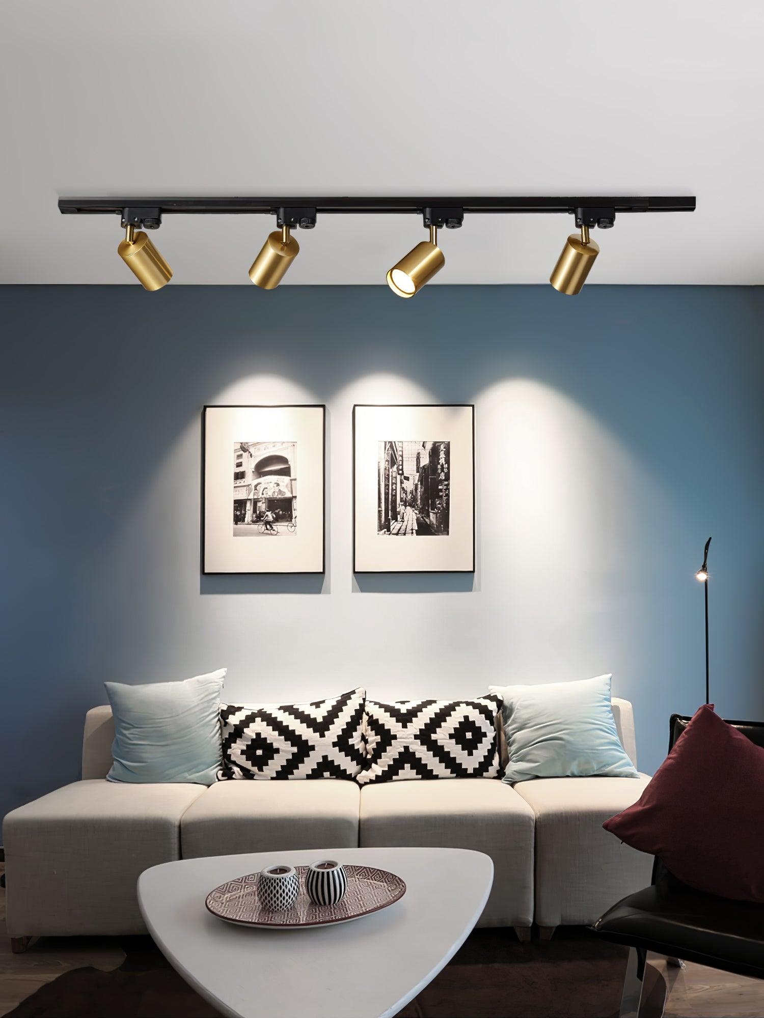 Adjustable Spotlight Track Ceiling Light D379