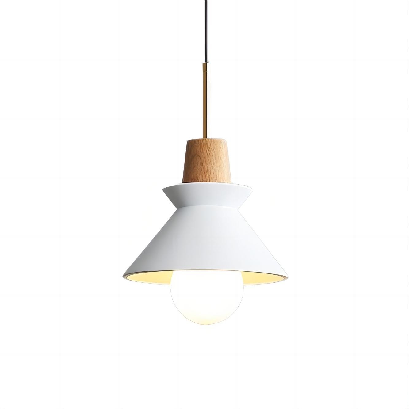SPACE Scandinavian Pendant Lamp