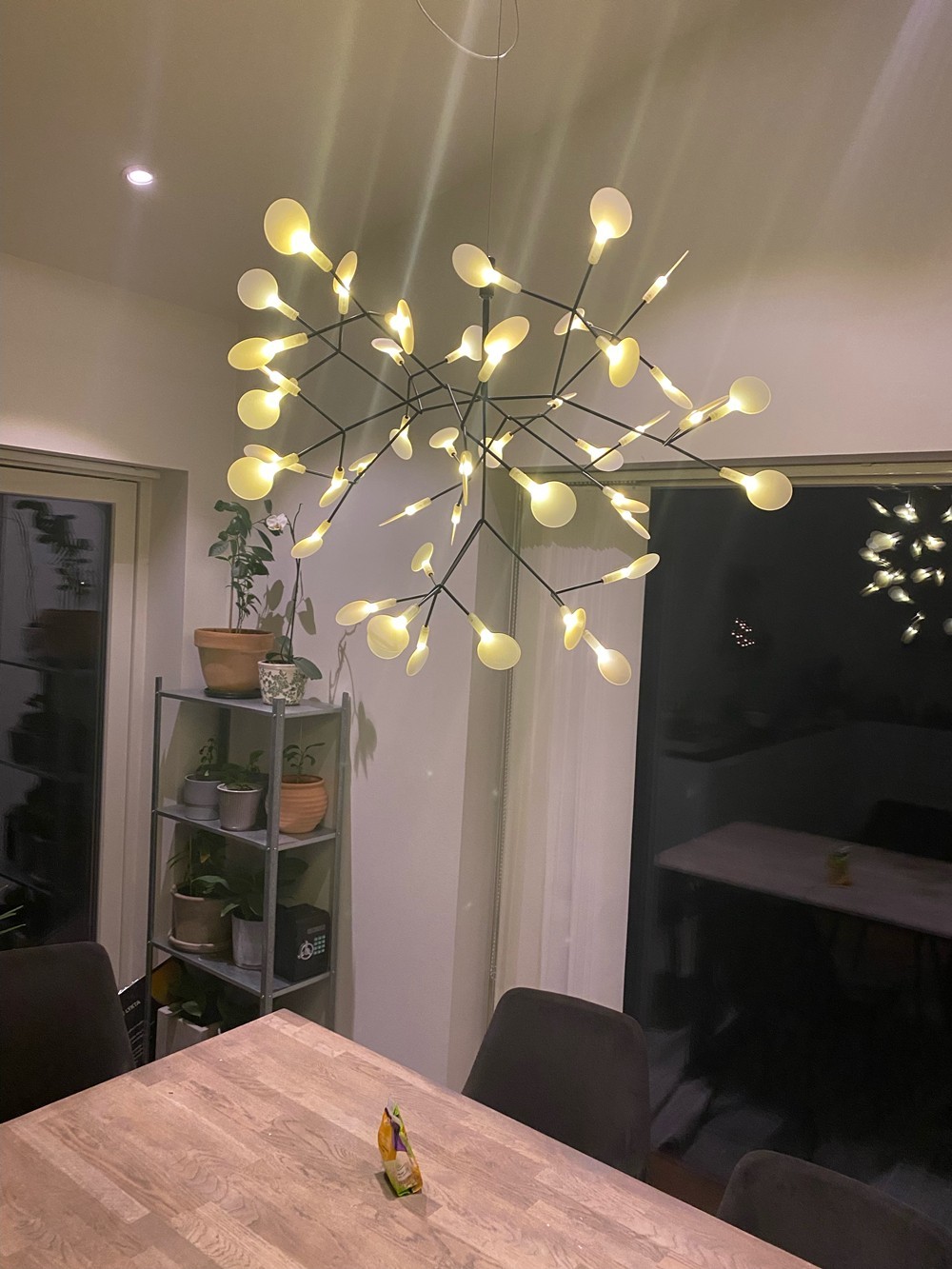 Scandinavian Branching LED Chandelier for Living Room
