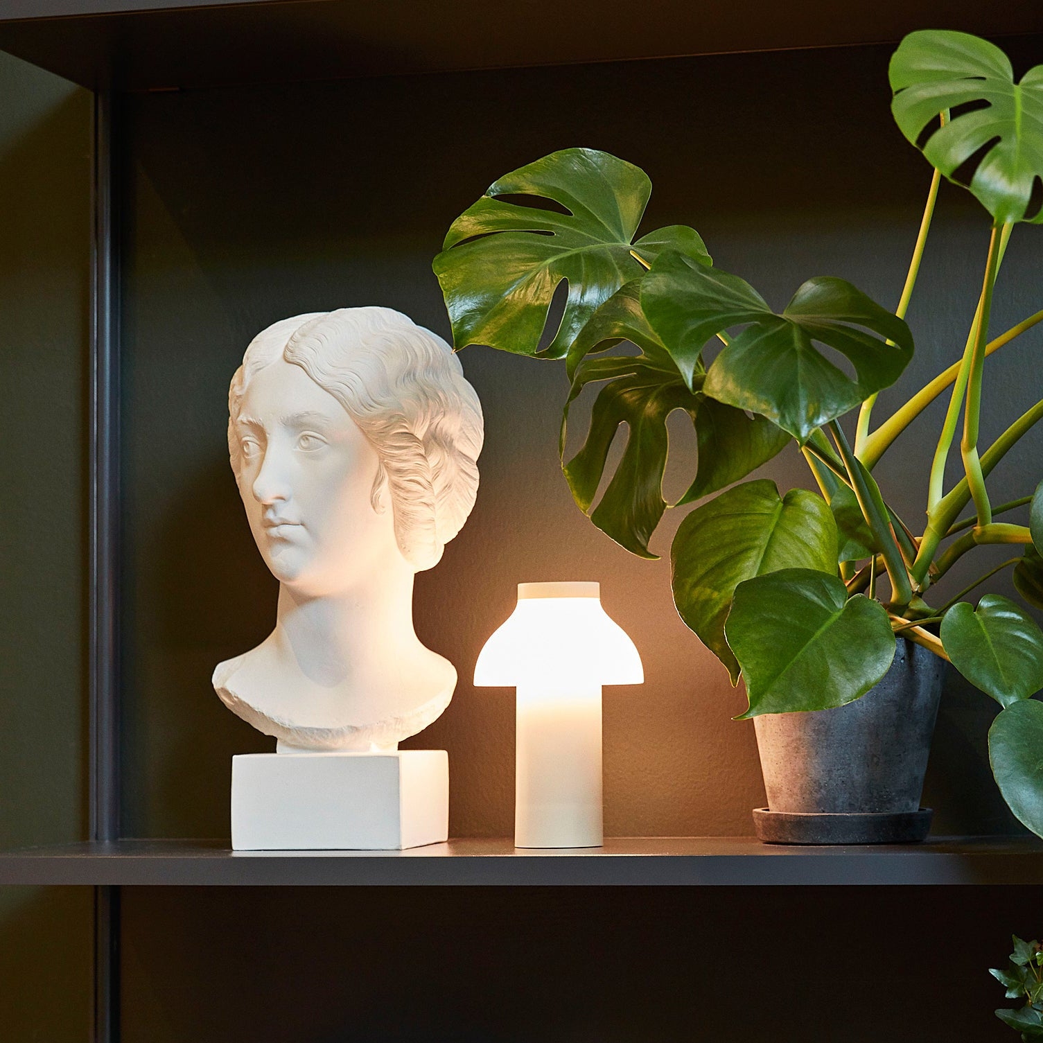 PC Portable Table Lamp D646