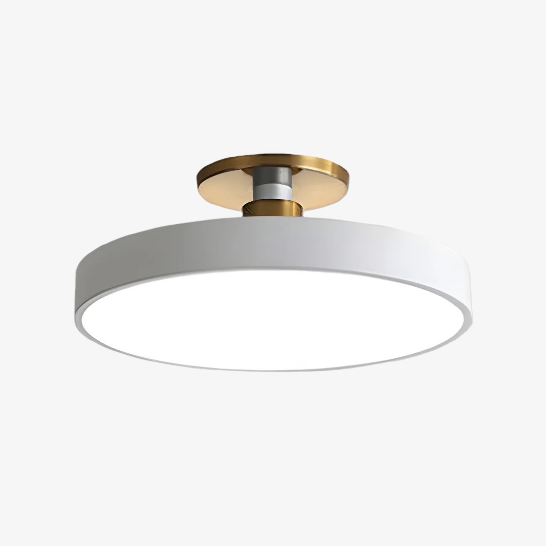 Ceilivon Ceiling Light Wide Diffuser Flush Mount Ceiling Light - Modern Style for Living Room T517