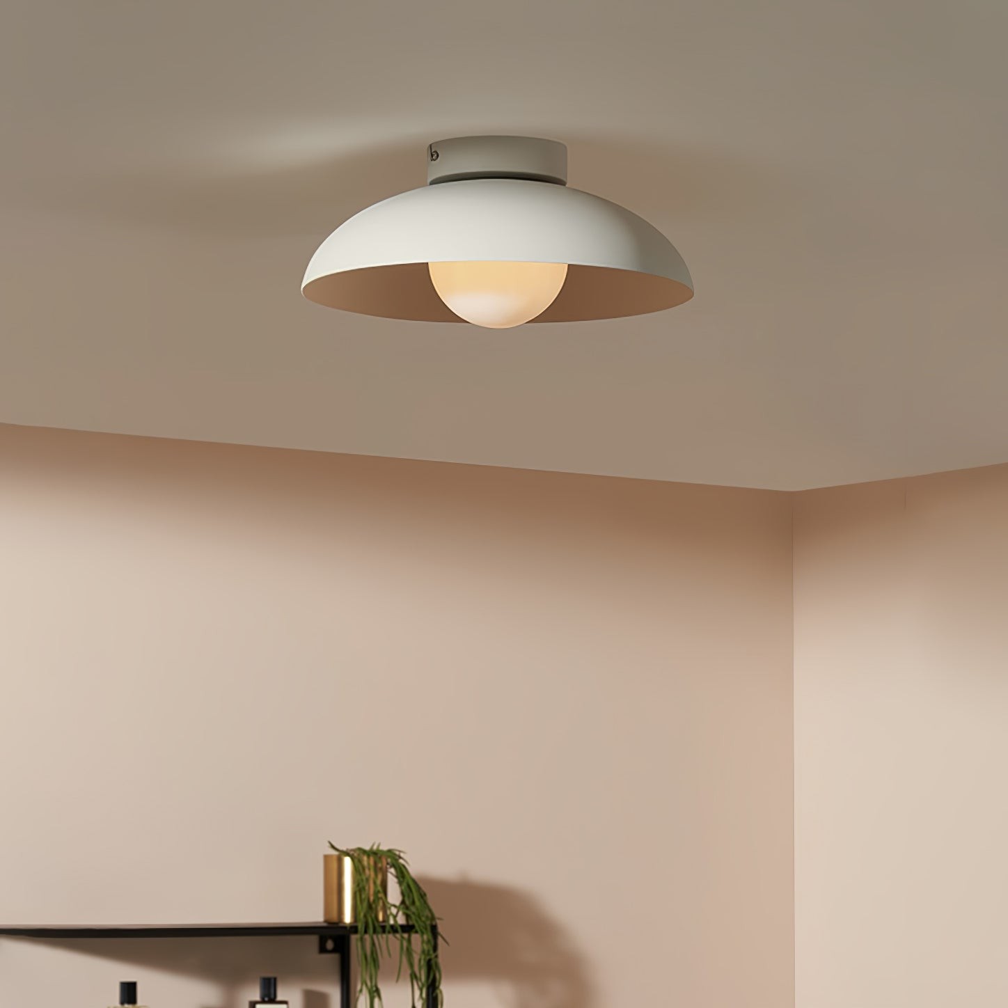 Matte Black Glass Dome Ceiling Lamp M553