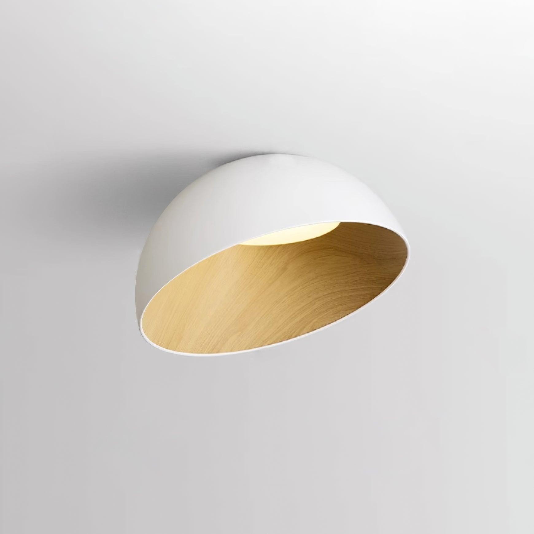 Simple Modern Nordic LED Eggshell Ceiling Lamp M385