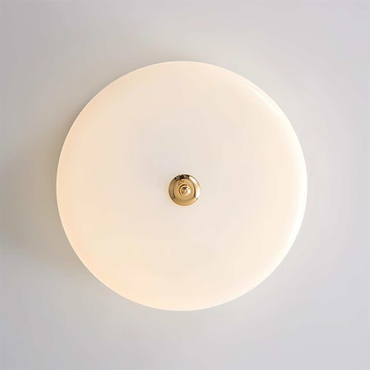 Rowen Ceiling Light D05