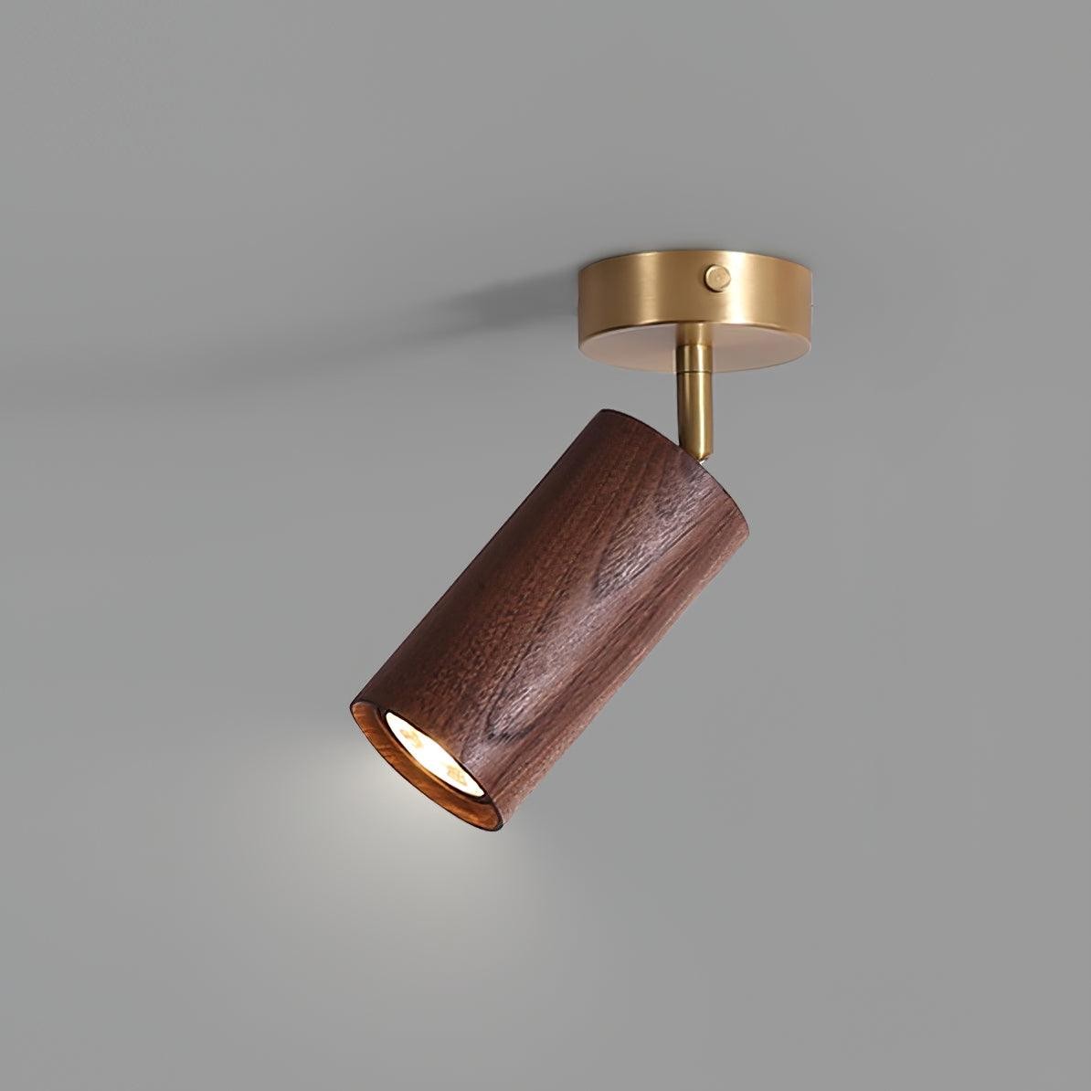 Fashion Wooden Modern Track Lighting M111